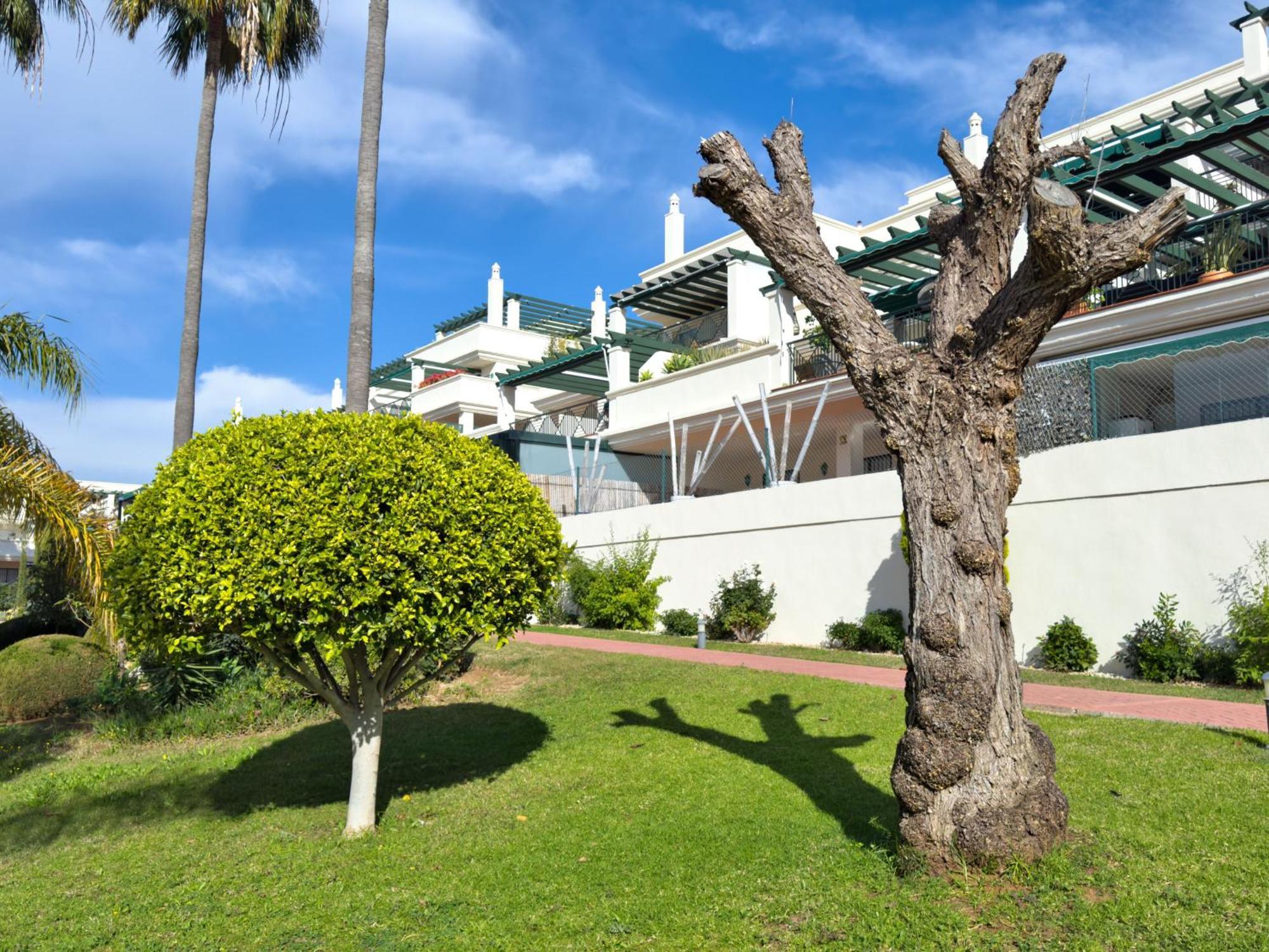 Apartment Bajo Con Terraza En Lorcrimar V *